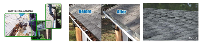 Gutter Cleaning